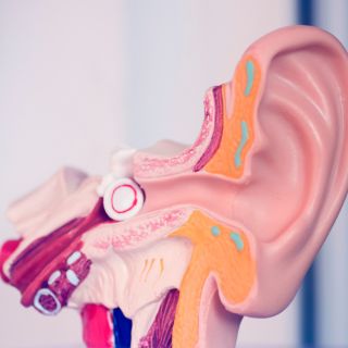 Protección del oído interno